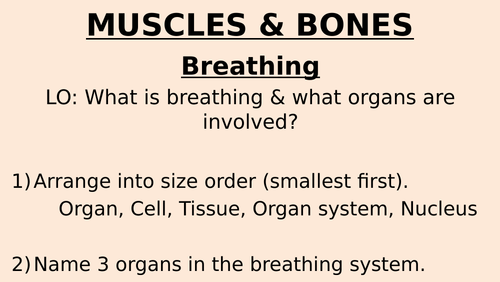 Muscles & Bones Lesson 1 - Fitness & Lung Anatomy (Exploring Science 7C ...