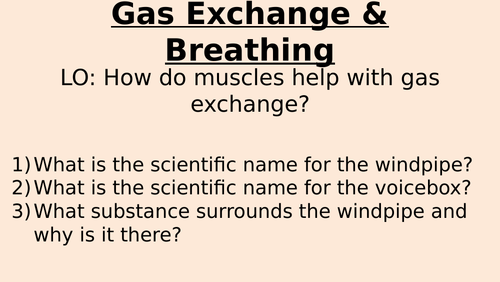 Muscles & Bones Lesson 2 - Gas Exchange & Breathing (Exploring Science ...