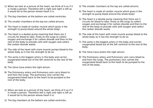 Muscles & Bones Lesson 3 - Muscles & Blood (The Heart) (Exploring ...