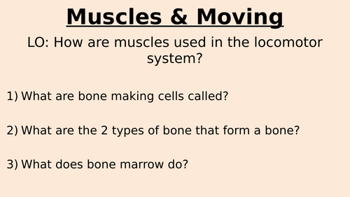 Muscles & Bones Lesson 7 - Muscles & Moving (Exploring Science 7C ...