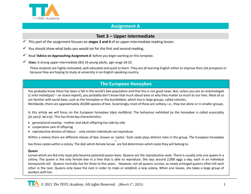 tefl academy assignment a examples