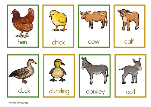 Adult And Baby Animals Matching Cards | Find A Partner Cards | Teaching ...