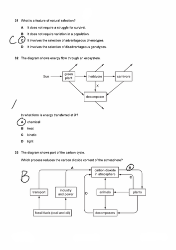 Final Revision for 0610 Biology MCQ Part 3 Predicted Paper Walkthrough ...