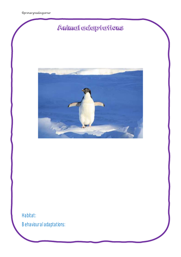 Year 6 Science Evolution and inheritance - Adaptation Resource Pack ...