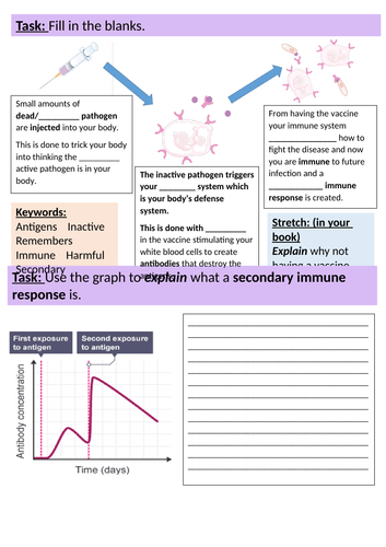 docx, 658.44 KB