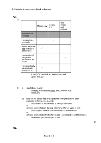 docx, 36.05 KB