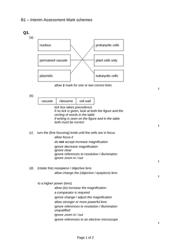 docx, 101.3 KB