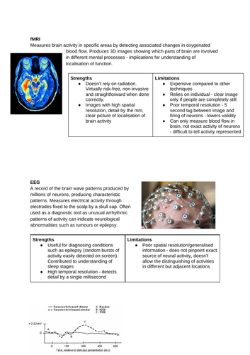 AQA A Level Psychology Biopsychology notes | Teaching Resources