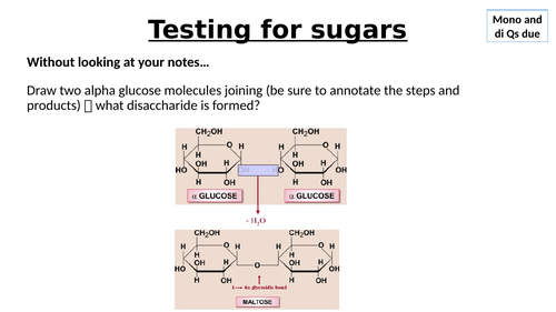 A-Level AQA Biology - Benedict's Test