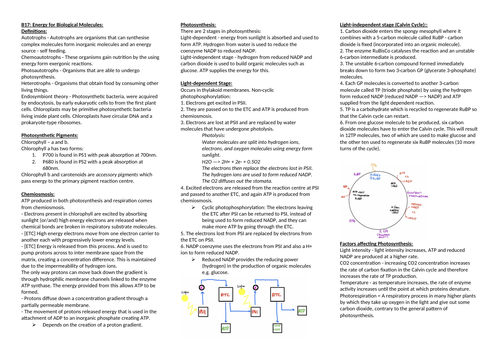 docx, 799.16 KB