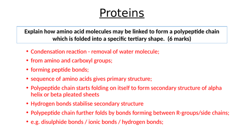 A-Level AQA Biology - Biurets Test and Summary of Biomolecules