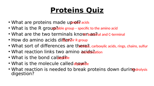 A-Level AQA Biology - Enzymes Theory