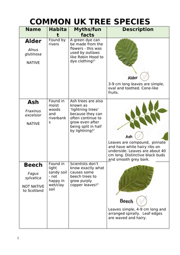 Identifying British Trees - Lesson Packs | Teaching Resources