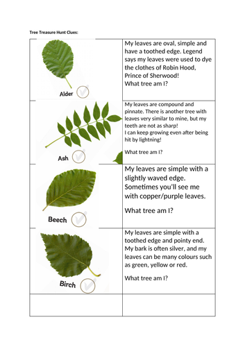 Identifying British Trees - Lesson Packs 