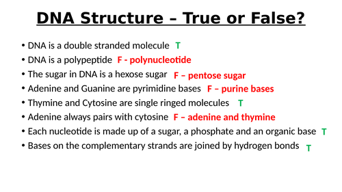 A-Level Biology - DNA Replication