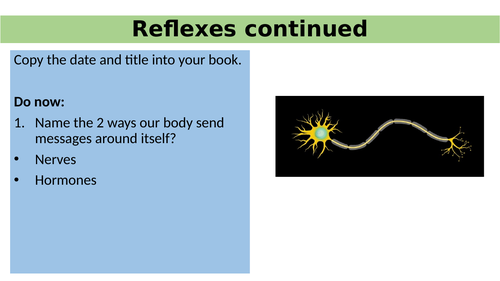 Reflexes And Hormones Aqa Entry Level Certificate Component 1 Human Biology Outcome 8 5442