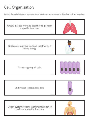 End of topic reviews - Science AQA ELC Component 1 Human Body