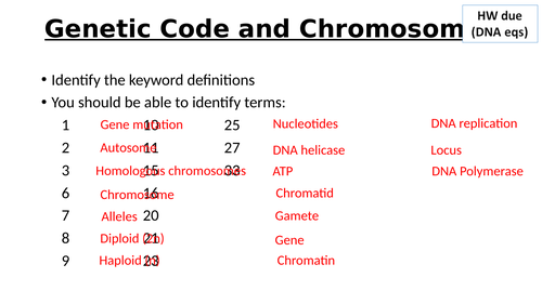 A-Level AQA Biology - Genes and Chromosomes Part 2 | Teaching Resources