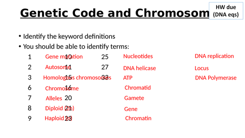 A-Level AQA Biology - Genes and Chromosomes Part 2