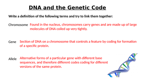 A-Level AQA Biology - Genes and Chromosomes Part 1