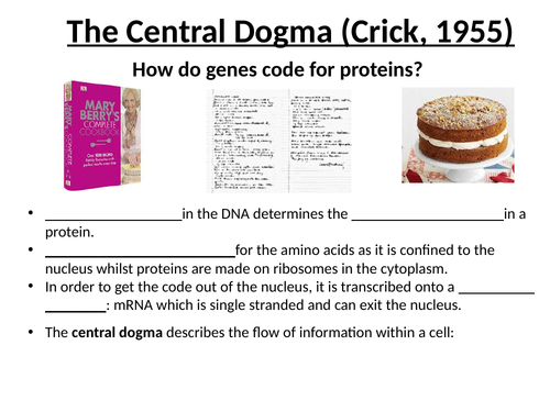 A-Level AQA Biology - Transcription and Splicing