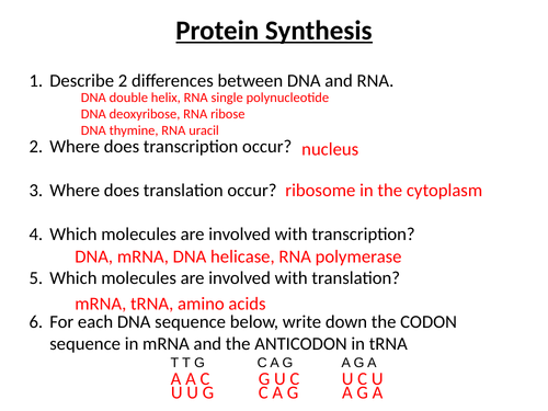 A-Level AQA Biology - Gene Mutations Part 1