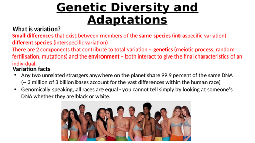 A-Level AQA Biology - Natural Selection