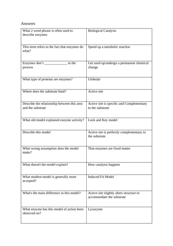 A Level Biology - Enzymes Tests