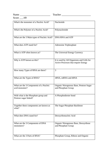 A Level Biology Nucleic Acid 91����ts