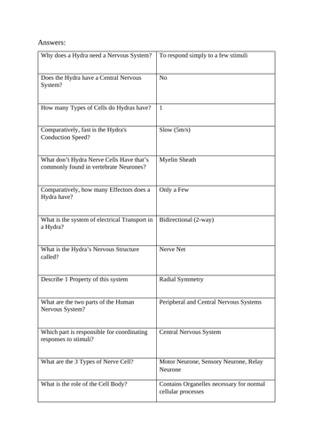 A Level Biology - Nervous System Tests