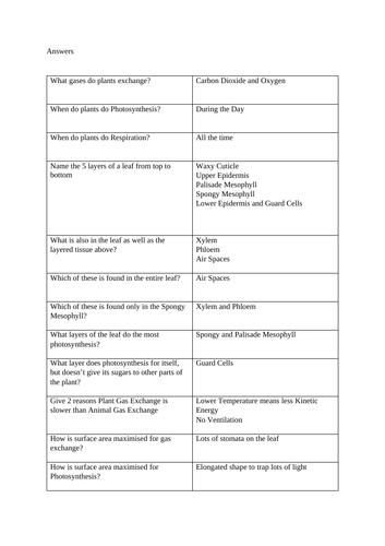 A Level Biology - Plant Gas Exchange Test