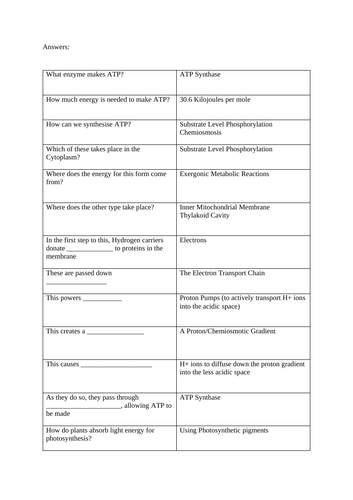 A Level Biology - Photosynthesis Test