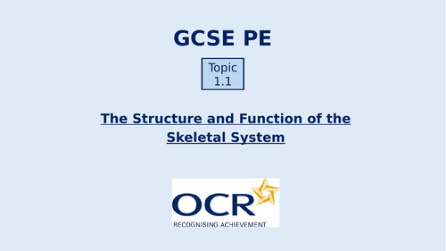 OCR GCSE PE - Unit 1 of Paper 1 - The Structure & Function of the ...