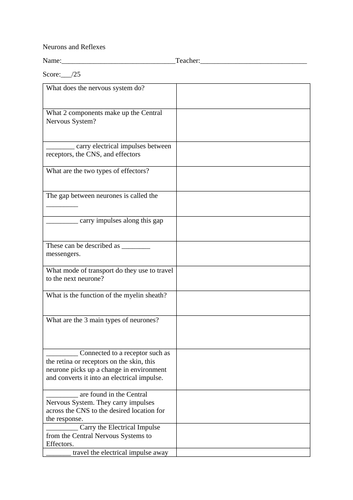 GCSE Science/Biology - Neurones and Reflexes Test