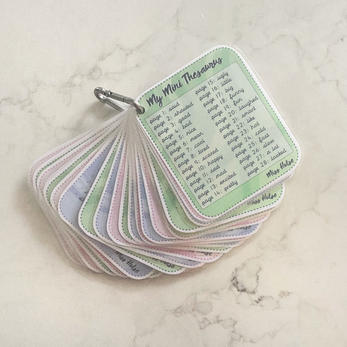 Mini Thesaurus English Resource Teaching Resources