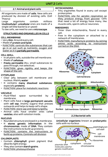 CELLS AND CLASSIFICATION GUIDE GCSE | Teaching Resources