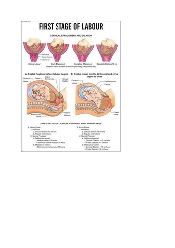 docx, 143.09 KB