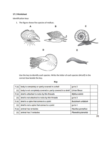 Identification Keys | Teaching Resources