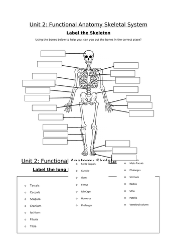 docx, 228.08 KB