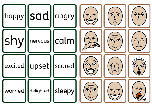 Zones of Regulation Emotions Matching | Teaching Resources