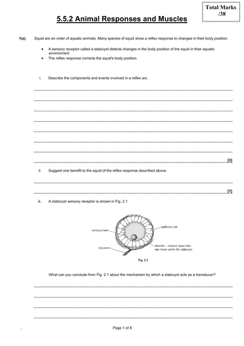 5.5 Plant and Animal Responses SP | Teaching Resources