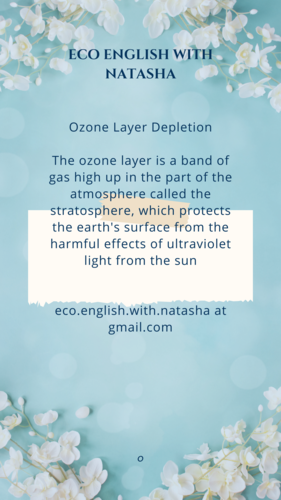 eco terms and definitions POSTERS | Teaching Resources