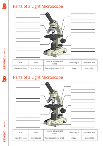 KS3 Biology Microscopy complete lesson | Teaching Resources
