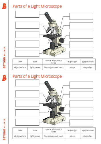 KS3 Biology Cells topic lessons | Teaching Resources