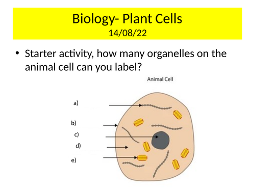KS3 Biology Cells topic lessons | Teaching Resources