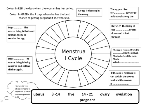 Menstrual Cycle Teaching Resources