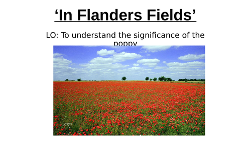 KS3: WW1 Poetry 'In Flander's Field'