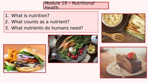 unit 19 health and social care nutrition assignment