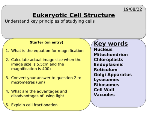 Eukaryotic Cell Structure - A Level - AQA