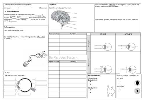 docx, 571.09 KB